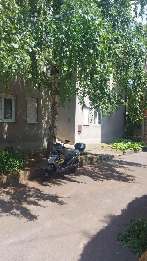 Apartman Milica Vrsac Exterior photo